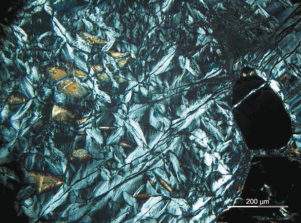 Φωτογραφία μικροσκοπίου όπου παρατηρούνται θύλακοι-διάκενα σε πετρώματα, στα οποία βρίσκεται πιθανώς αβιοτικό μεθάνιο